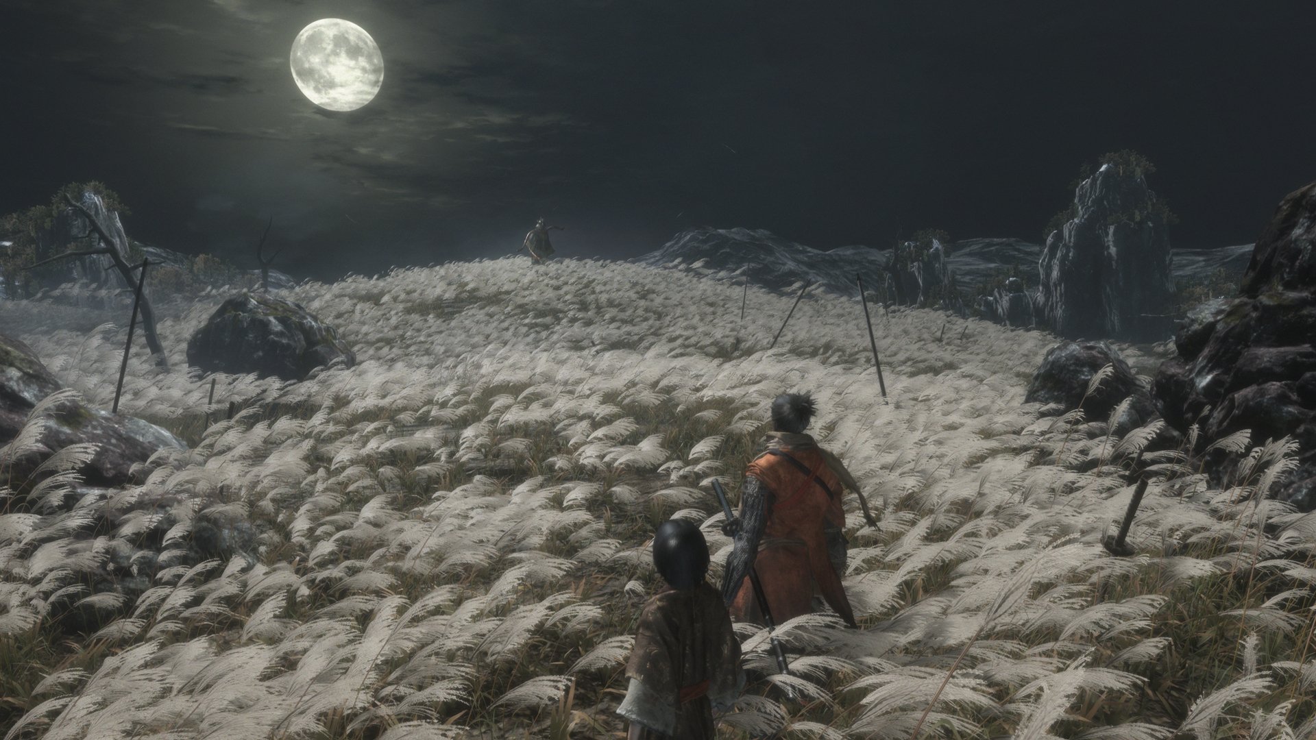 Sekiro: Shadows Die Twice - Imagen 11